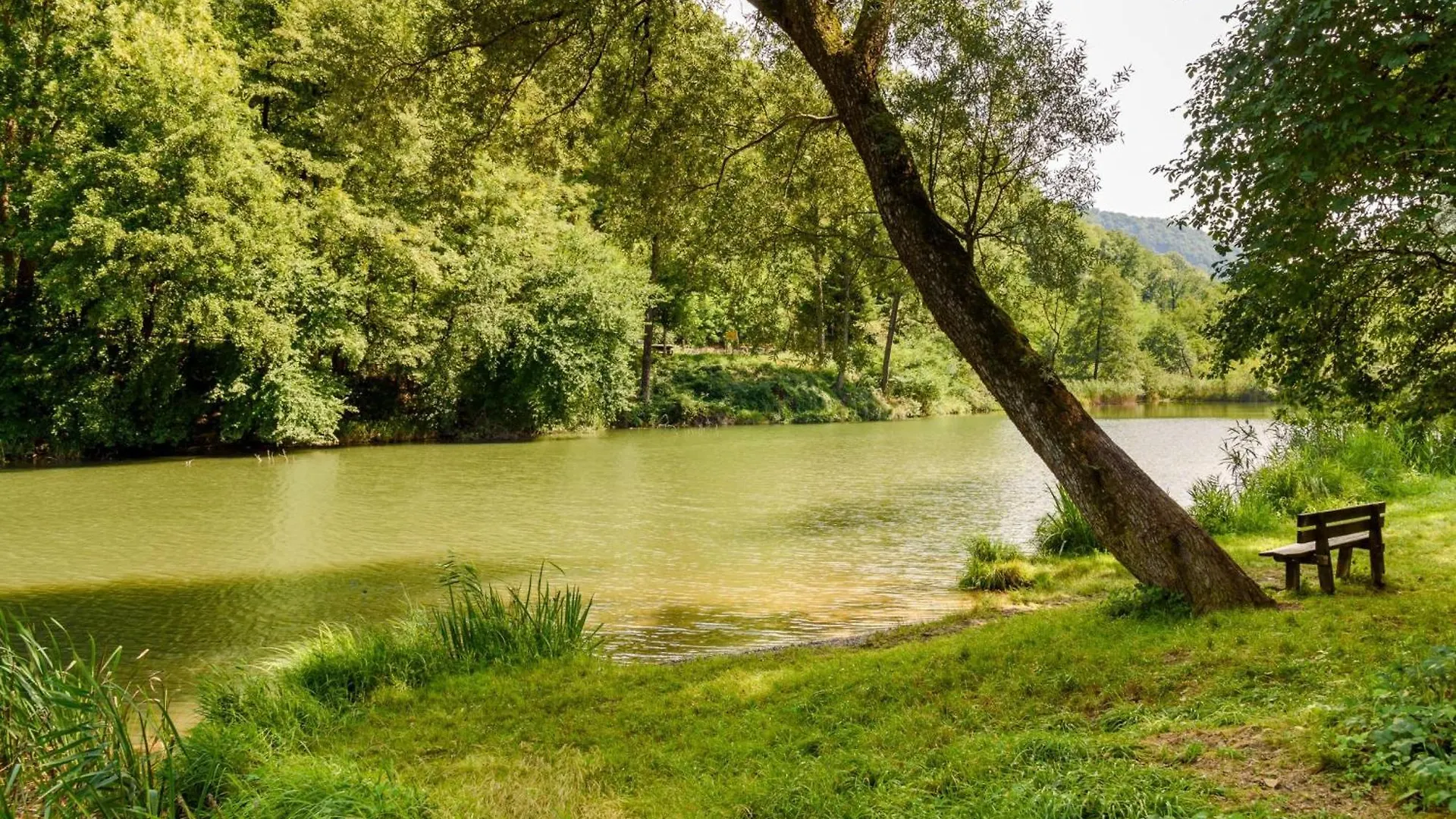 Villa Giulietta Private Pool - Happy Rentals Gemonio 0*,